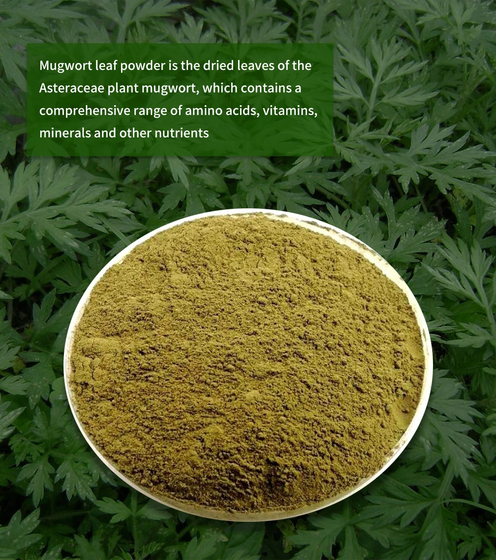 100 Mesh Wormwood Leaf Powder Herb Organic Mugwort Powder Artemisia Argyi Powder