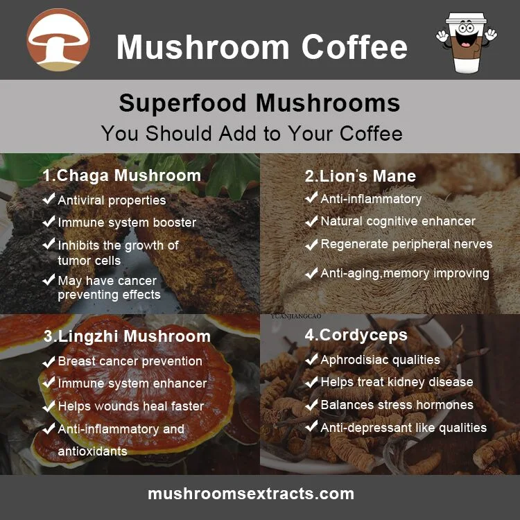 Organic Tremella Mushroom Chaga Mushroom Lion′s Mane Mushroom Reishi Mushroom Powder Mushroom Extract Blends
