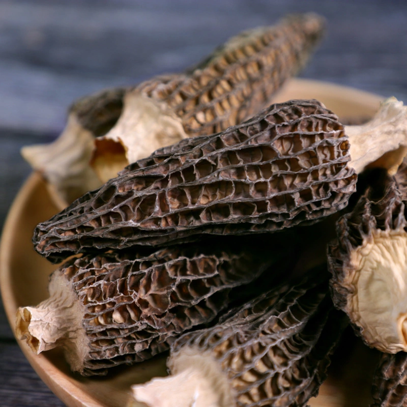 Yang Du Jun Organic Natural Wholesale Health Food Products Morel Mushroom