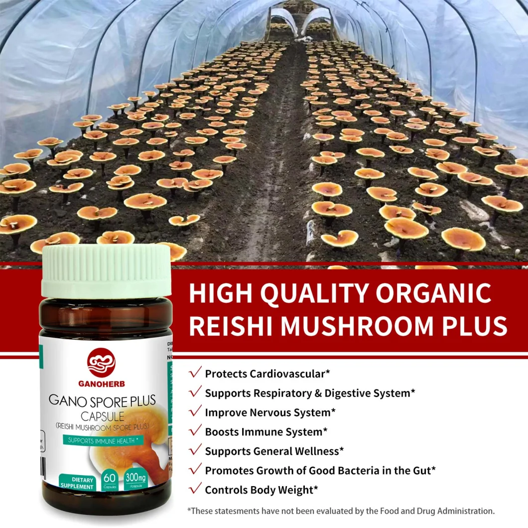 Ganoherb Organic Reishi Mushroom Spore Capsules with 100% Ganoderma Lucidum Spore Powder for Boost Immune System Vegan All Natural Non-GMO & Gluten Free 60 Vegg