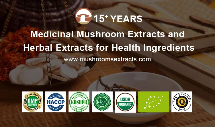 Organic Chaga Mushroom Plant Extract Reishi Mushroom Herbal Powder Cordyceps Mushroom Lion′ S Mane Mushroom Tremella Mushroom Blend