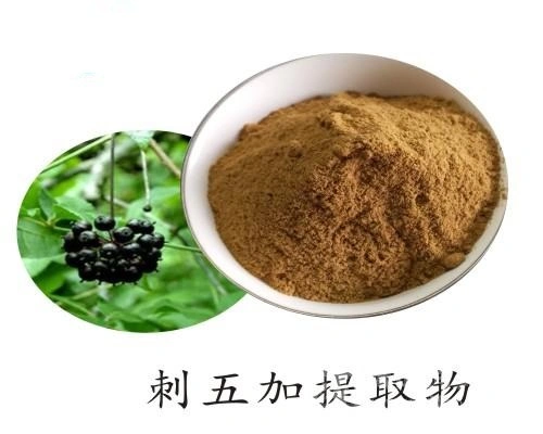 E. K Herb ISO/Kosher Certified Manufacturer 100% Natural Siberian Ginseng Extract Organic Siberian Ginseng Extract Powder High Quality Isofraxidin 0.3% in Stock
